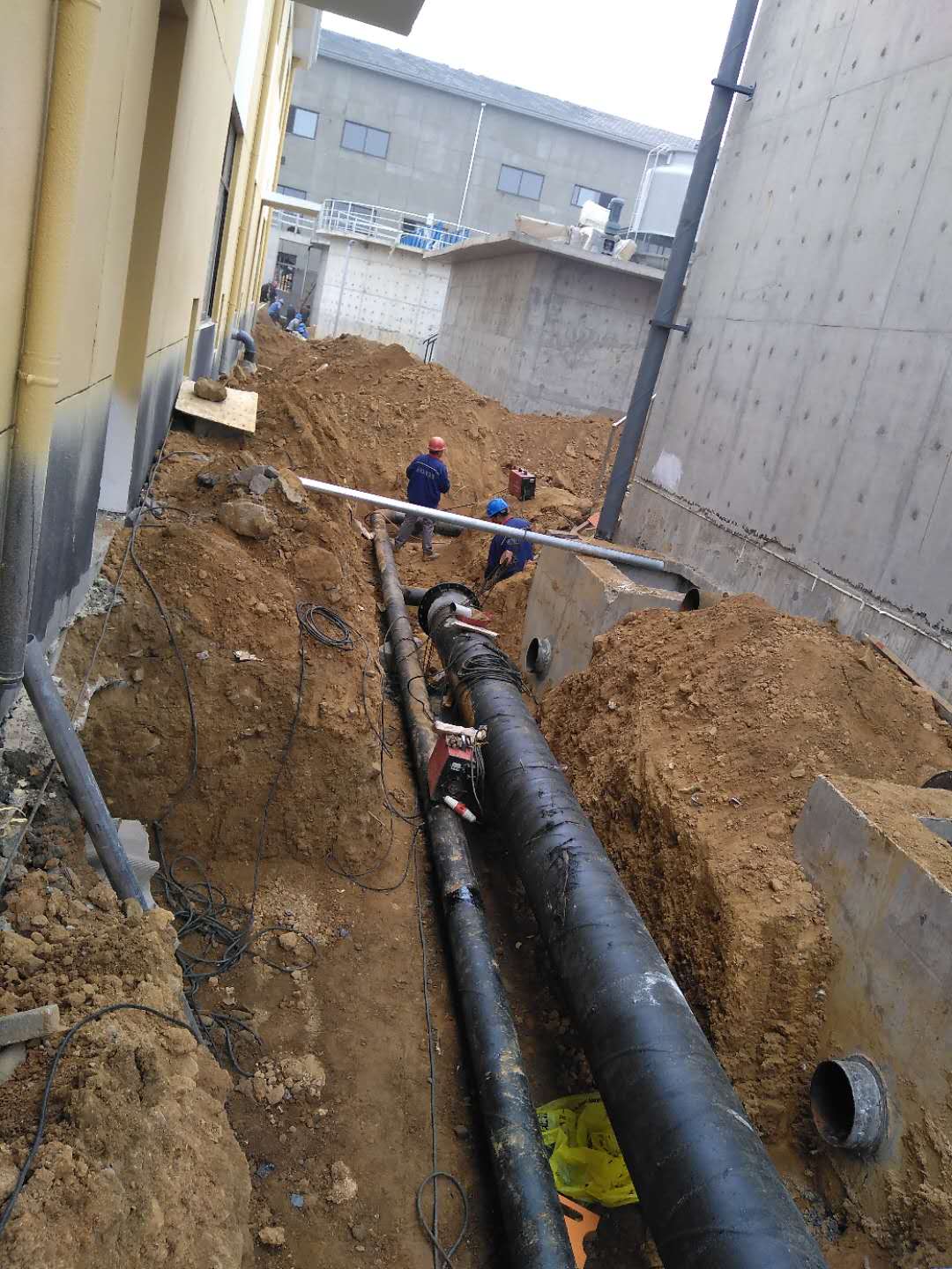 微信图片_20200503100132.jpg 极悦娱乐 155b2
